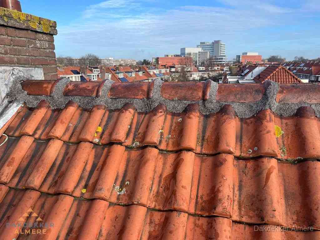 Nieuw bitumen plat dak met uitzicht over woonwijk in Almere