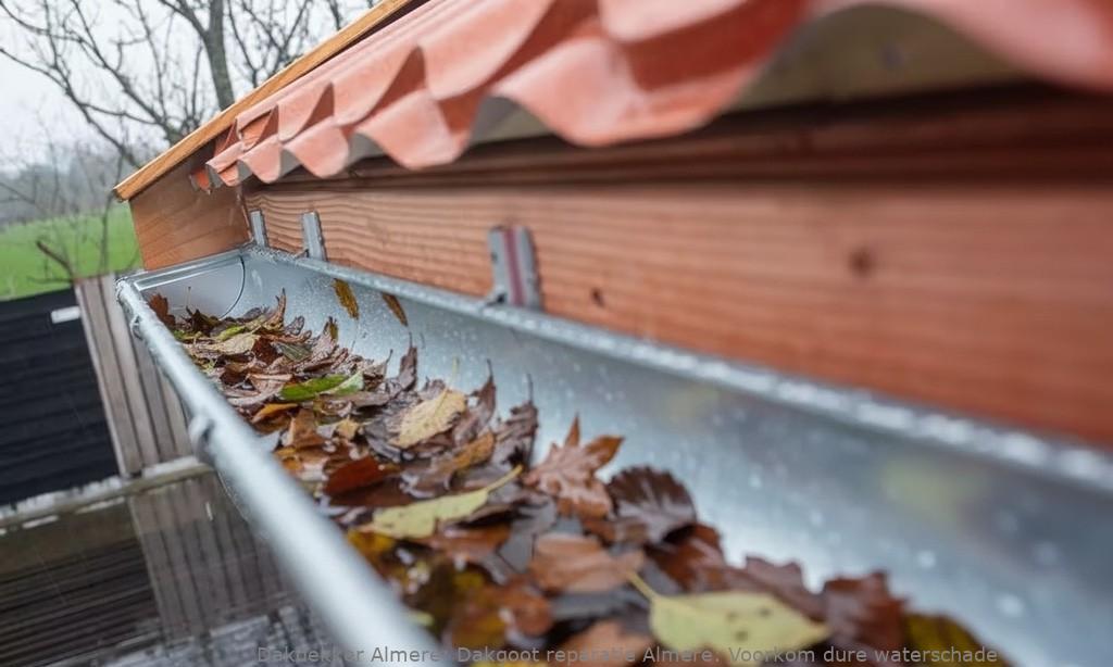 Dakgoot reparatie Almere: Voorkom dure waterschade