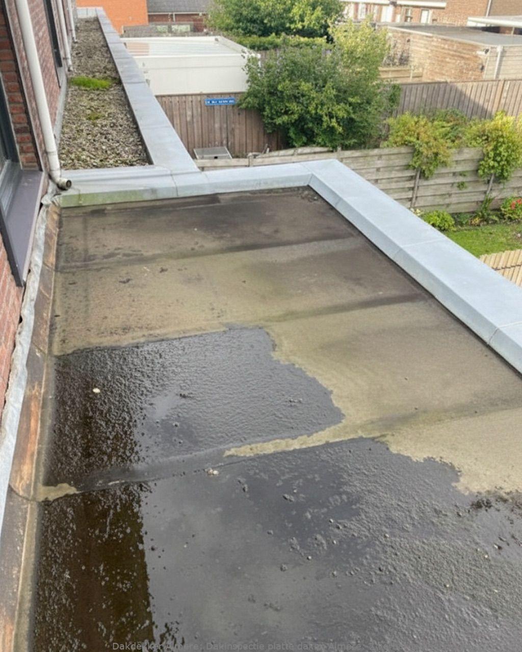 Dakinspectie platte daken Almere: 7 verborgen gebreken