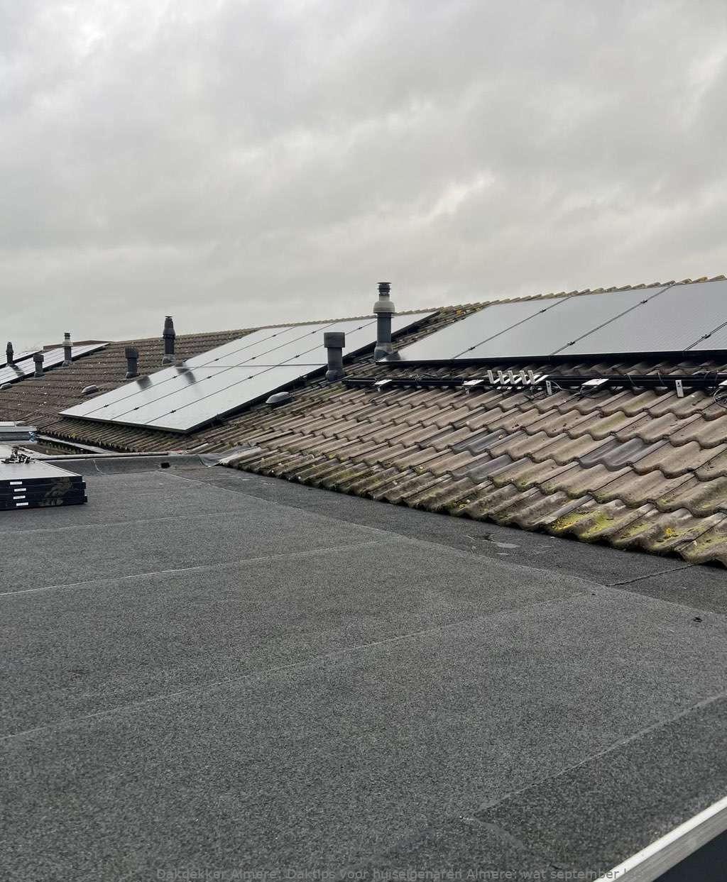 Daktips voor huiseigenaren Almere: wat september leert